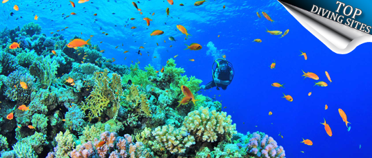 Top Diving Sites